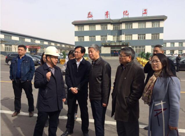 阿拉善高新技術(shù)產(chǎn)業(yè)開發(fā)區(qū)創(chuàng)建國家高新區(qū)工作正式啟動