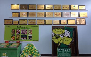 “芒果百色，香飄百地” 國內(nèi)首家芒果精深加工特色產(chǎn)業(yè)基地申報(bào)進(jìn)行時