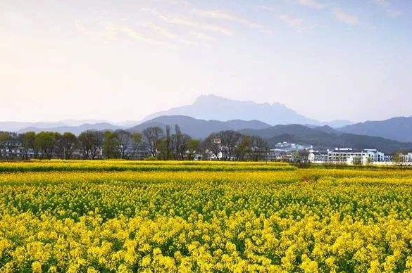 安慶潛山：突出個性特色，推動鄉村振興