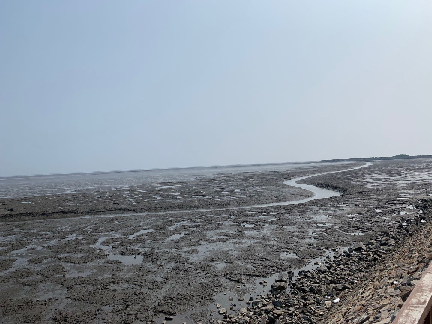 依托貝類優勢，遼寧省東港市積極創建省級現代農業產業園