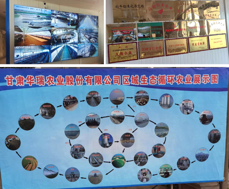 加強農業產業布局規劃，民樂縣向農業強縣進發